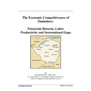 The Economic Competitiveness of Zimbabwe: Financials Returns, Labor 