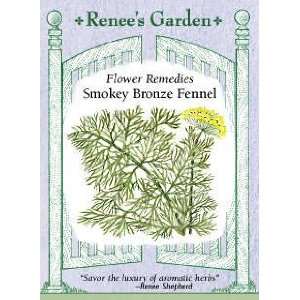  Fennel   Smokey Bronze Seeds Patio, Lawn & Garden