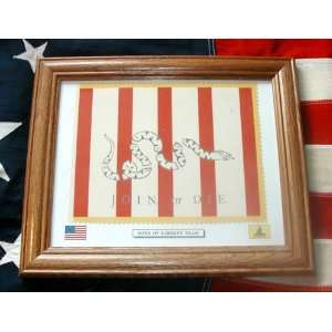   American RevolutionFramed Sons of Liberty Flag 