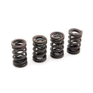  VALVE SPRINGS SET B SERS: Home Improvement