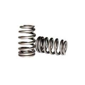  TOMEI 13203R301 Valve Springs: Automotive