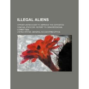  Illegal aliens opportunities exist to improve the 