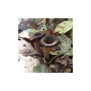 Fungus Among Us Organic Black Trumpet Dried Mushrooms(2x0.5oz)