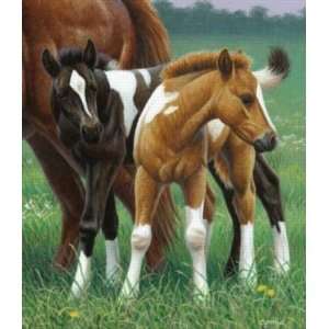  Cynthie Fisher Two Foals 550pc Jigsaw Puzzle Toys & Games