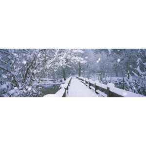  Trees along a Snow Covered Footbridge, Yosemite National Park 