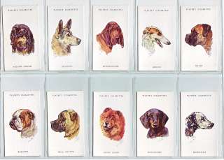 Complete Set of 50 Dogs Paintings Cards from 1940  