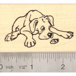  Olde English Bulldogge Rubber Stamp: Arts, Crafts & Sewing