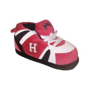  Harvard Crimson NCAA Slipper Small