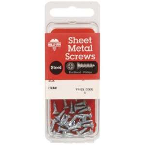   Hillman Zinc Plated Steel Sheet Metal Screws (5540): Home Improvement