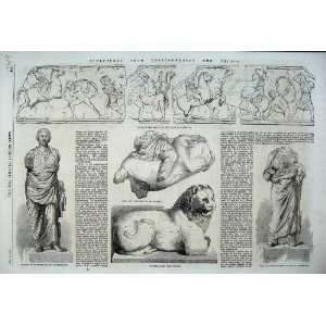   1861 Lion Statue Cnidus Mausolus Artemisia Tomb Print: Home & Kitchen