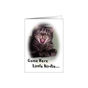 Funny Kitty   All Occasion Card
