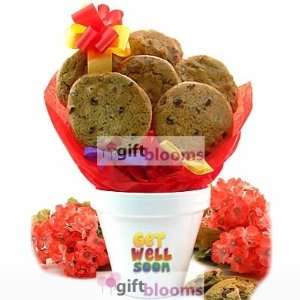  Get Well Flower Pot   6 or 12 Gourmet Cookies