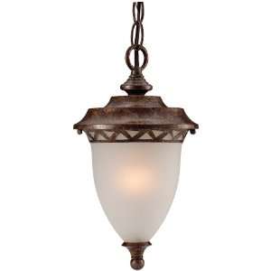 Hardware House H10 2812 Tristen Outdoor Fixture Hanging Light, Aged 