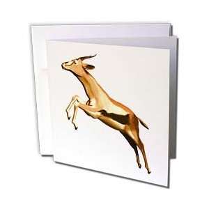 Boehm Graphics Animal   Leaping Thomsons Gazelle 