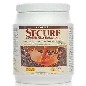  Andrew Lessman SECURE Complete Meal Replacement   30 