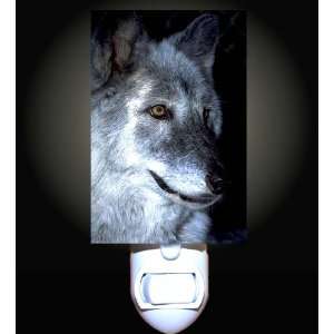  Wolf in the Light of the Moon Decorative Night Light