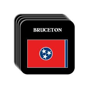  US State Flag   BRUCETON, Tennessee (TN) Set of 4 Mini 
