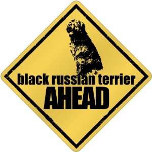  New  Black Russian Terrier Bites Ahead !  Crossing Dog 