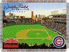 Chicago Cubs MLB Wrigley Field Stadium 48 x 60 Tape