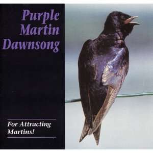 Dawn Song CD Purple Martin Attractors:  Home & Kitchen