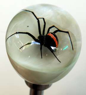Redback Spider Gear Stick Shift Knob by Custom Redback  