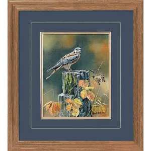     Autumn Sun   Kestrel Framed Deluxe Open Edition