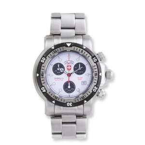   : Mens Swiss Military Seawolf Silver Dial Chronograph Watch: Jewelry