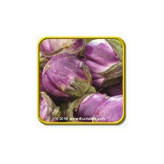  1 Lb Eggplant Seeds   Rosa Bianica Bulk Vegetable Seeds 