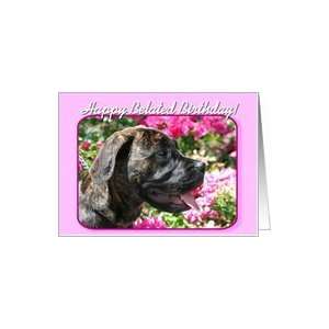  Happy Belated Birthday Mastiff Puppy Card Health 