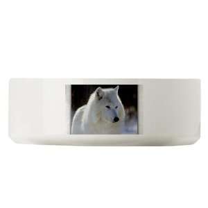    Large Dog Cat Food Water Bowl Arctic White Wolf: Everything Else