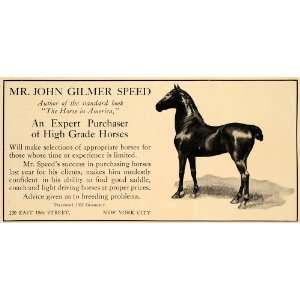   Speed Horses Farm Saddle Breeding   Original Print Ad