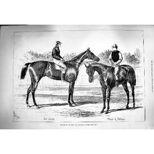   1879 Horses Winners Derby Oaks Sir Bevys Wheel Fortune