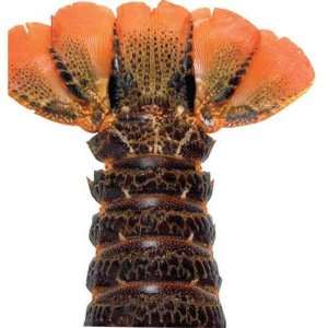 Lobster Gram B8T6 Six 8 oz. Brazilian Lobster Tails  Warm Water 