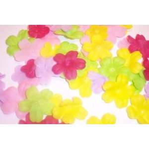  Tropical Flowers Petals Soap Confetti Beauty