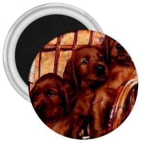  Irish Setter Puppy Dog 3in Magnet S0694: Everything Else