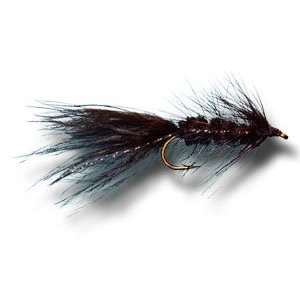 Woolly Bugger   Black Fly Fishing Fly