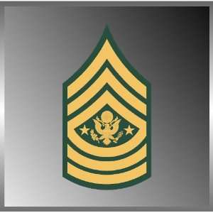 United States US Army Rank Sergeant Major of the Army Emblem Insignia 