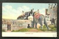 Elephant Fight with Audience India ca 1906  