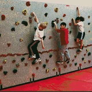   Tables Groperz Traverse Climbing Wall Package   24