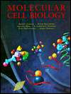 Molecular Cell Biology, (0716723808), Harvey Lodish, Textbooks 