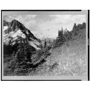  Chelan,mountains,snow,trees,peaks,grass,Washington,WA,1915 Home