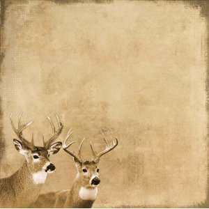  Antlered Deer 12 x 12 Paper Arts, Crafts & Sewing
