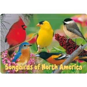 Impact Photographics Kids Puzzle Songbirds Image for Kids 3 Years and 
