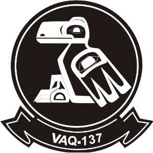  US Navy VAQ 137 Electronic Attack Warfare Squadron Decal 