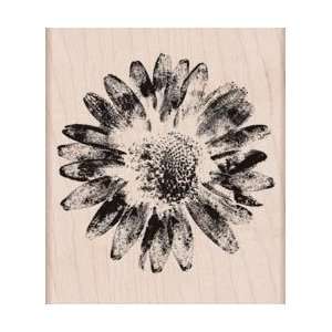   Arts Mounted Rubber Stamps   Real Blossom by Hero Arts Arts, Crafts