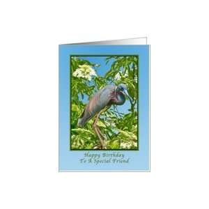  Birthday, Friend, Tricolored Heron in a Tree Card: Health 