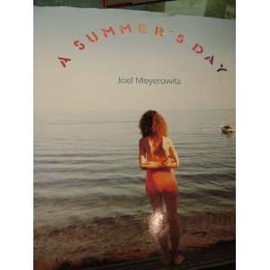  A Summers Day Joel Meyerowitz Books
