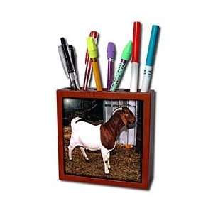  Farm Animals   Boer Doe Goat   Tile Pen Holders 5 inch 