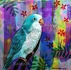   QUAKER PARROT GICLEE of Painting Monk Bird Kristine Kasheta Bird ART