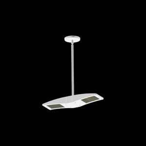  RAB PLED2X10W LED Downlight Large Pendant